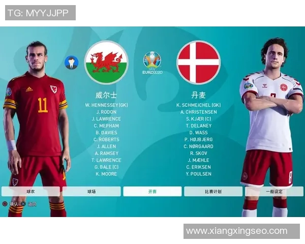 威尔士与丹麦足球对决阵容分析及战术解读