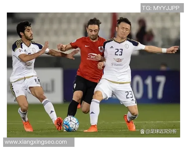 希拉尔与赖扬对决分析及推荐策略详解