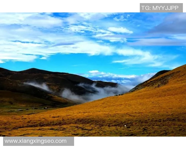 朱荣振的艺术之路与人生哲学探讨:从创作到传承的心灵旅程 朱荣振的艺术之路与人生哲学探讨:从创作到传承的心灵旅程