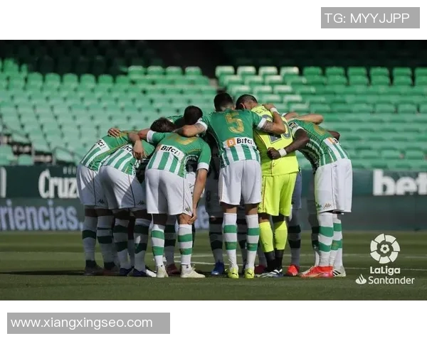 沃尔夫贝格与萨迪纳摩激战在即球迷期待精彩对决与胜负悬念