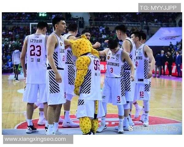 2017年CBA季后赛辽宁队对决广东队的精彩回顾与战术分析