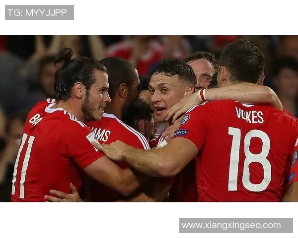 威尔士与爱尔兰精彩对决集锦回顾球迷必看瞬间与精彩进球分析