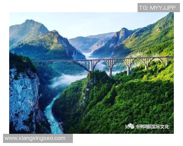 新西兰队与黑山队激战正酣谁将赢得这场国际友谊赛的胜利