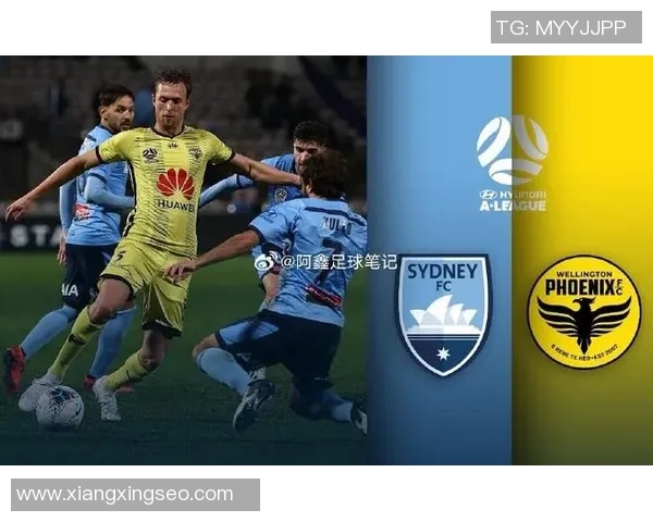 威灵顿凤凰对阵悉尼FC比赛分析与推荐策略分享