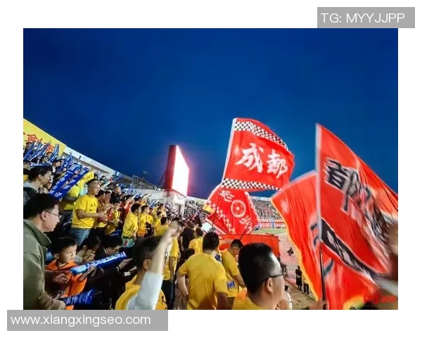 成都排球队力量之争引发热议球迷与专家各执己见