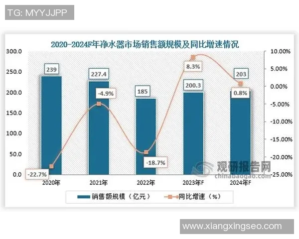 深圳极限运动队的运营模式与市场趋势深度解析