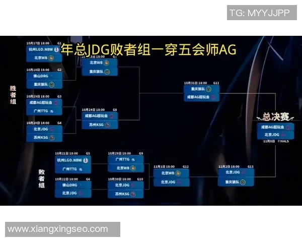 王者荣耀背后的奋斗与荣耀：JDG战队成长历程全景纪实